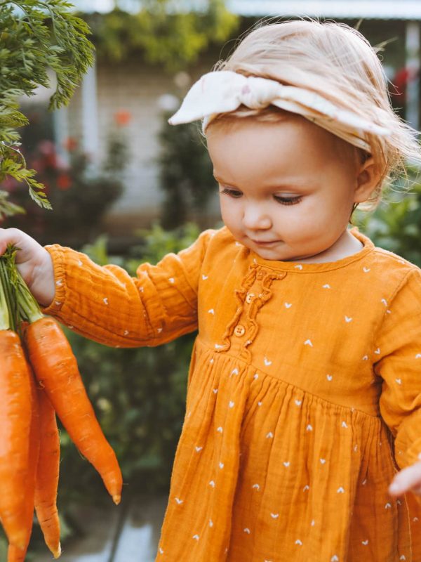 Child holding carrots in garden healthy food lifestyle vegan organic vegetables homegrown agriculture farming concept